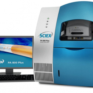 Capillary Electrophoresis Instruments PA800 Plus System Spectrometer